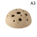 DecorBites™ Lotus Seedpod Ceramic Vase Set