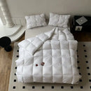 DecorBites™ Luxe Goose Down Winter Duvet | Queen King Size Comforter Quilt Core