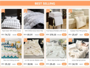 DecorBites™ Luxurious Mulberry Silk Bedding Set for King & Queen Beds