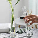 DecorBites™ Luxury Glass Flower Vase for Home Decor