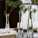 DecorBites™ Luxury Glass Flower Vase for Home Decor