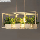 DecorBites™ Metal 2-Head Rectangle Pendant Light Fixture for Restaurants with Hanging Artificial Bonsai
