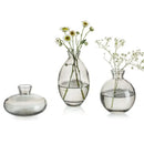 DecorBites™ Mini Glass Flower Vase for Home Decor