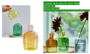 DecorBites™ Mini Glass Vase Set for Plants and Candles