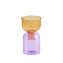 DecorBites™ Mini Glass Vase Set for Plants and Candles