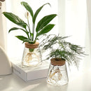DecorBites™ Mini Nordic Glass Hydroponic Planter Tray