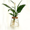 DecorBites™ Mini Nordic Glass Hydroponic Planter Tray