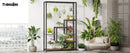 Black Wood Plant Stand