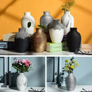 DecorBites™ Modern Ceramic Nordic Flower Vase for Home Decor