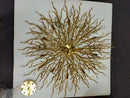 DecorBites™ Modern Chrome Crystal Chandelier for Living Room