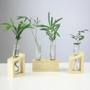 DecorBites™ Modern Crystal Glass Test Tube Vase
