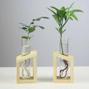 DecorBites™ Modern Crystal Glass Test Tube Vase