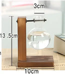 DecorBites™ Modern Crystal Glass Test Tube Vase