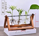 DecorBites™ Modern Crystal Glass Test Tube Vase