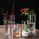 DecorBites™ Modern Glass Hydroponic Vase for Wedding Decor