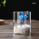 DecorBites™ Modern Glass Hydroponic Vase for Wedding Decor