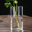 DecorBites™ Modern Glass Hydroponic Vase for Wedding Decor