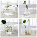 DecorBites™ Modern Glass Vase Terrarium Aquarium Decoration