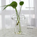 DecorBites™ Modern Glass Vase Terrarium Aquarium Decoration