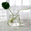 DecorBites™ Modern Glass Vase Terrarium Aquarium Decoration