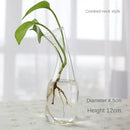DecorBites™ Modern Glass Vase Terrarium Aquarium Decoration