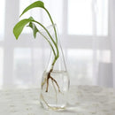 DecorBites™ Modern Glass Vase Terrarium Aquarium Decoration