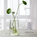 DecorBites™ Modern Glass Vase Terrarium Aquarium Decoration