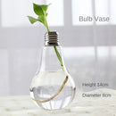 DecorBites™ Modern Glass Vase Terrarium Aquarium Decoration
