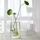 DecorBites™ Modern Glass Vase Terrarium Aquarium Decoration