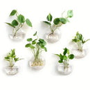 DecorBites™ Modern Hanging Glass Vase for Home Decor