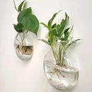 DecorBites™ Modern Hanging Glass Vase for Home Decor