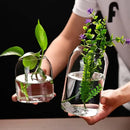DecorBites™ Modern Hydroponic Glass Flower Vase for Home & Wedding