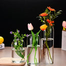 DecorBites™ Modern Hydroponic Glass Flower Vase for Home & Wedding