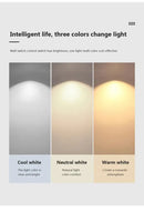 DecorBites™ Modern LED Ceiling Light for Home - Indoor Lighting
