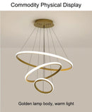 DecorBites™ Modern LED Ring Pendant Chandelier - Black