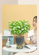 DecorBites™ Modern Nordic Ceramic Tulip Vase for Home Decor
