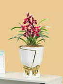 DecorBites™ Modern Nordic Ceramic Tulip Vase for Home Decor