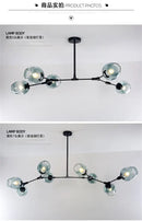 DecorBites™ Modern Nordic Glass Chandeliers LED Ceiling Lamps