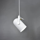 DecorBites™ Modern Nordic Hanging Lights