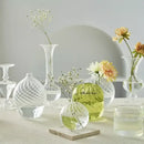 DecorBites™ Modern Transparent Glass Vases Set for Home