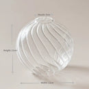 DecorBites™ Modern Transparent Glass Vases Set for Home