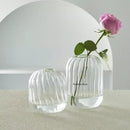 DecorBites™ Modern Transparent Glass Vases Set for Home