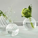 DecorBites™ Modern Transparent Glass Vases Set for Home