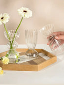 DecorBites™ Modern Transparent Glass Vases Set for Home