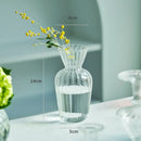 DecorBites™ Modern Transparent Glass Vases Set for Home