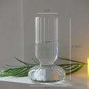 DecorBites™ Modern Transparent Glass Vases Set for Home