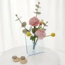 DecorBites™ Modern Transparent Square Vase for Flowers
