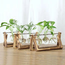 DecorBites™ Modern Wooden Frame Glass Vase Terrarium