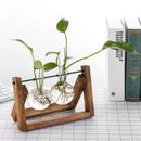 DecorBites™ Modern Wooden Frame Glass Vase Terrarium