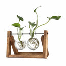 DecorBites™ Modern Wooden Frame Glass Vase Terrarium